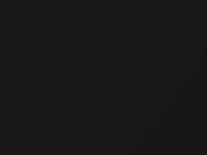 Audi Vesuv Grau Metallic touch up paint F4 2021 A7