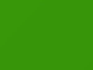 Mercedes-Benz Alien Green touch up paint 166 2018 All Models