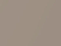 Light Beige Metallic touch-up paint for Nissan Armada, code HAG, 2021