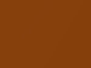 Monarch Orange Metallic touch-up paint for Nissan Kicks, code BEBB, EBB, 2017