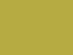 Brimstone touch-up paint for Chevrolet, code 455B, GN7, WA455B, 2019