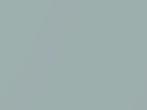 Opal Mist Metallic touch-up paint for Chevrolet Bolt, code 454C, G9A, WA454C, 2020