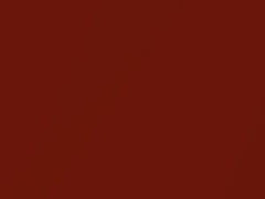 BMW Sakhir Orange II Metallic touch up paint C1H 2016 All Models