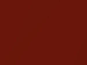 BMW Sakhir Orange II Metallic touch up paint C1H 2018 M4