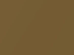 Gold Metallic touch-up paint for Daihatsu, code Y14, 2017