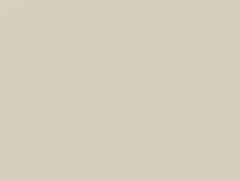 White touch-up paint for Dodge, code AY110KW3, KW3, PW3, 2019