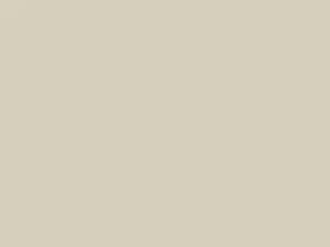White touch-up paint for Dodge, code AY110KW3, KW3, PW3, 2019