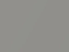 Silver Metallic touch-up paint for Rolls Royce, code 9560009, 2002