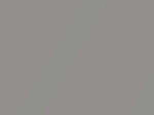 Silver Metallic touch-up paint for Rolls Royce, code 9560009, 2002