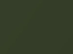 F8 Green Metallic touch-up paint for Dodge, code AY111RFQ, PFQ, RFQ, 2018