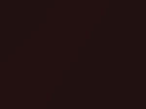 Audi Sevillarot Metallic touch up paint 8C 2021 All Models