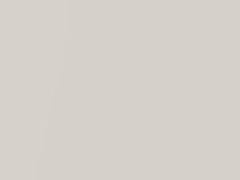 Blizzard Pearl touch-up paint for Lexus, code U070, 2005