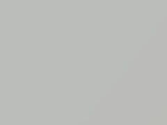 Platinum White Pearl touch-up paint for Honda Ciimo, code NH883P, 2016