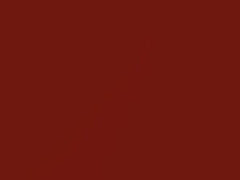 BMW 4 Series Frozen Red II Metallic Matte touch up paint 490 2018 4-SERIES
