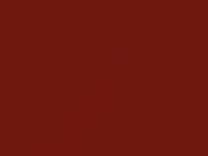 BMW 4 Series Frozen Red II Metallic Matte touch up paint 490 2018 4-SERIES