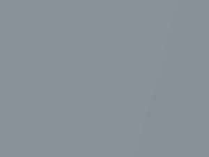 Silver Fox Pearl touch-up paint for Ford, code 763, JKK + alternatives, 2019