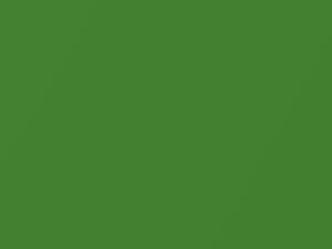 Mercedes-Benz Amg Green Hell Magno Matte touch up paint 376 2019 Gt