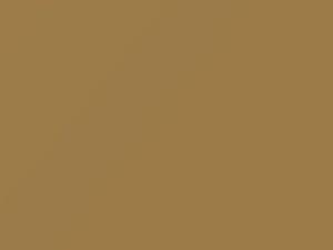 Livorno Beige touch-up paint for Honda, code Y39, 1980
