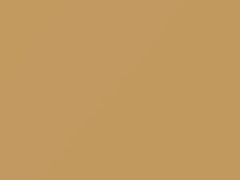 Jamaican Beige touch-up paint for Amc, code 2J, 1983