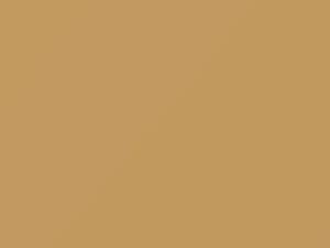 Jamaican Beige touch-up paint for Amc, code 2J, 1983