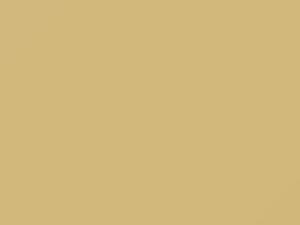 Sand Dune Yellow touch-up paint for Amc, code BM, 1988
