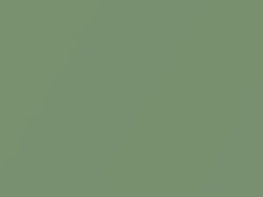 Light Green Metallic touch-up paint for Datsun, code 716, 1980