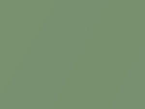 Light Green Metallic touch-up paint for Datsun, code 716, 1980