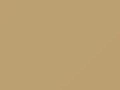 Light Beige/Light Wheat touch-up paint for Ford, code 6T, M6223A, 1989