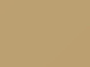Light Beige/Light Wheat touch-up paint for Ford, code 6T, M6223A, 1989