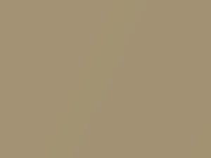 Champagne Metallic touch-up paint for Isuzu, code 810, Y701P9010, 1989