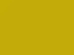 Yellow touch-up paint for Daihatsu, code Y04, 2003