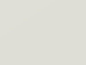 Crystal White touch-up paint for Ford Focus, code 560, 5BWG, 5BWT, BWGAWWA, 2019