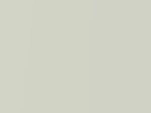 Flourine Pearl touch-up paint for Mitsubishi, code W94, 1998