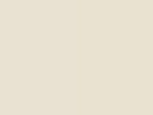 White Mica touch-up paint for Subaru, code 07C, 2011