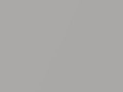 Light Silver Metallic touch-up paint for Saturn, code 13, 454G, WA454G, 2000