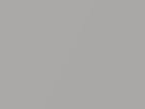 Light Silver Metallic touch-up paint for Saturn SL2, code 13, 454G, WA454G, 1999