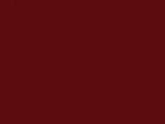 Red Metallic touch-up paint for Nissan, code AY2, 2003