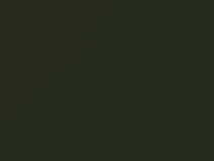 Mercedes-Benz Nickel Green touch up paint 870 1979 All Models