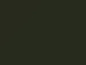 Mercedes-Benz Nickel Green touch up paint 870 1979 All Models