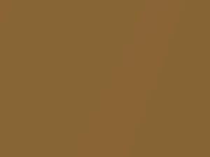 Bronze Amber Metallic touch-up paint for Toyota, code 403, 1972