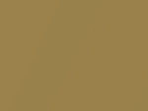 Alluvial Gold Metallic touch-up paint for Honda, code YR1M, 1973