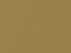 Alluvial Gold Metallic touch-up paint for Honda, code YR1M, 1973