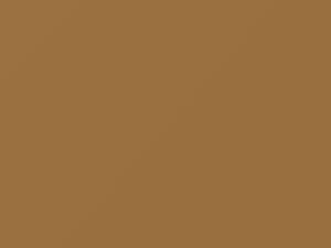 Buckskin touch-up paint for Datsun, code 630, 1980