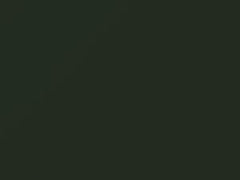 Conifer Green touch-up paint for Porsche, code LB6A, 1981
