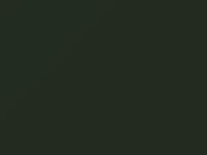 Conifer Green touch-up paint for Porsche, code LB6A, 1981