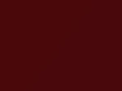 Salsa Red touch-up paint for Volkswagen Eos, code 4Y, 4Y4Y + alternatives, 2013