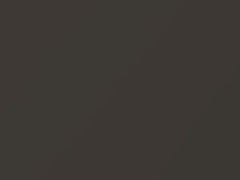 Dark Bronzemist Metallic touch-up paint for Chevrolet Express, code 529F, 76, WA529F, 2002