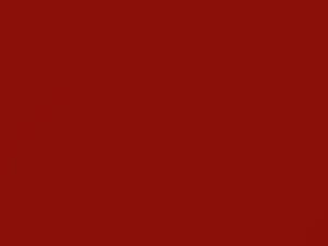 Duty Red-Orange touch-up paint for Isuzu Npr Medium, code 810, R725P801-0, 1998