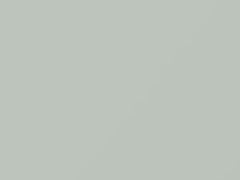 Natural White touch-up paint for Mitsubishi, code AC17031, W31, 2011
