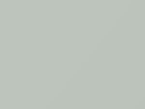 Natural White touch-up paint for Mitsubishi, code AC17031, W31, 2011